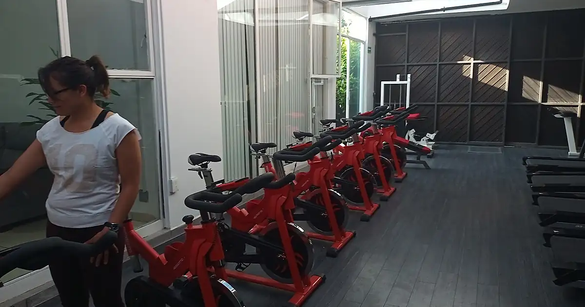 Sport Kingdom