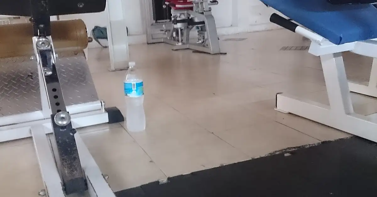 Perfect Body GYM