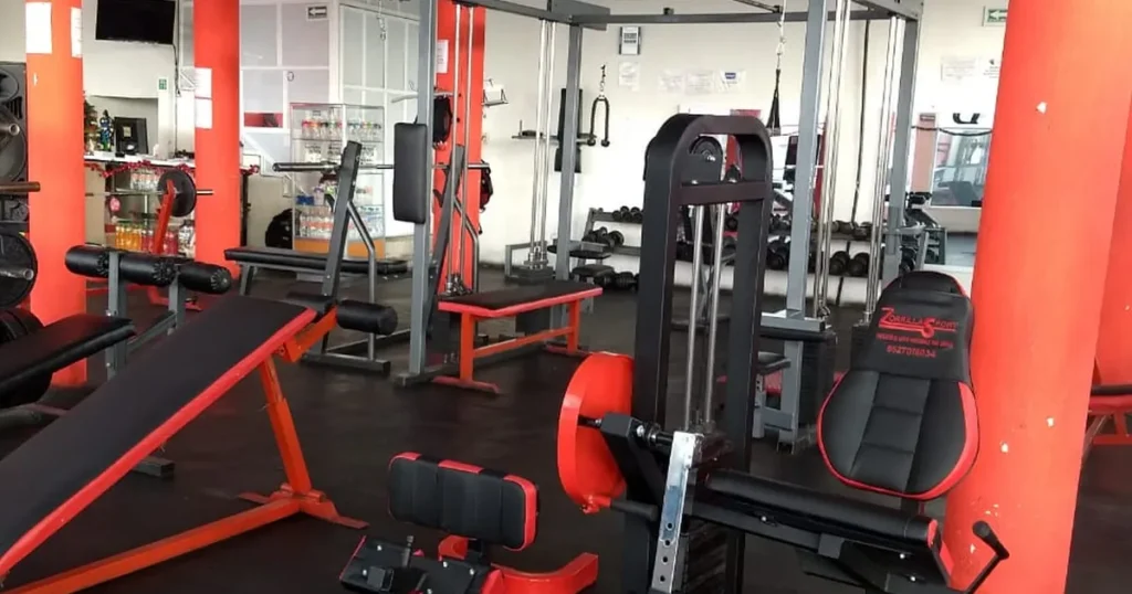 Olympus GYM