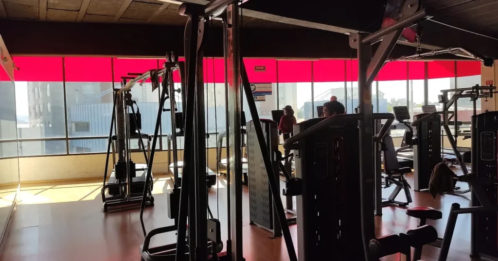 Training Zone Forjadores