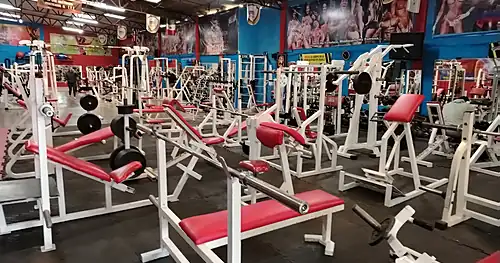 Gym Montecarlo Zona Alta, gimnasio en Tehuacán, Puebla