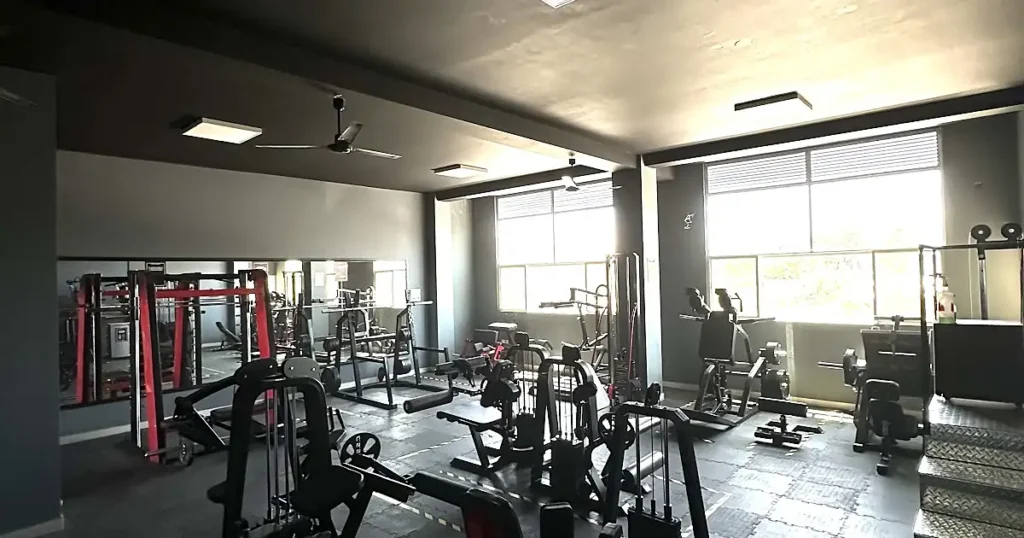 DT Fitness