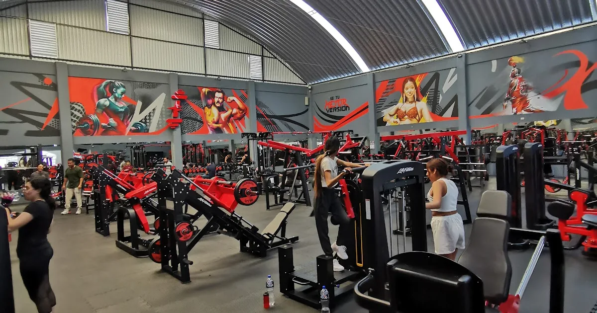 Iconik Pro GYM