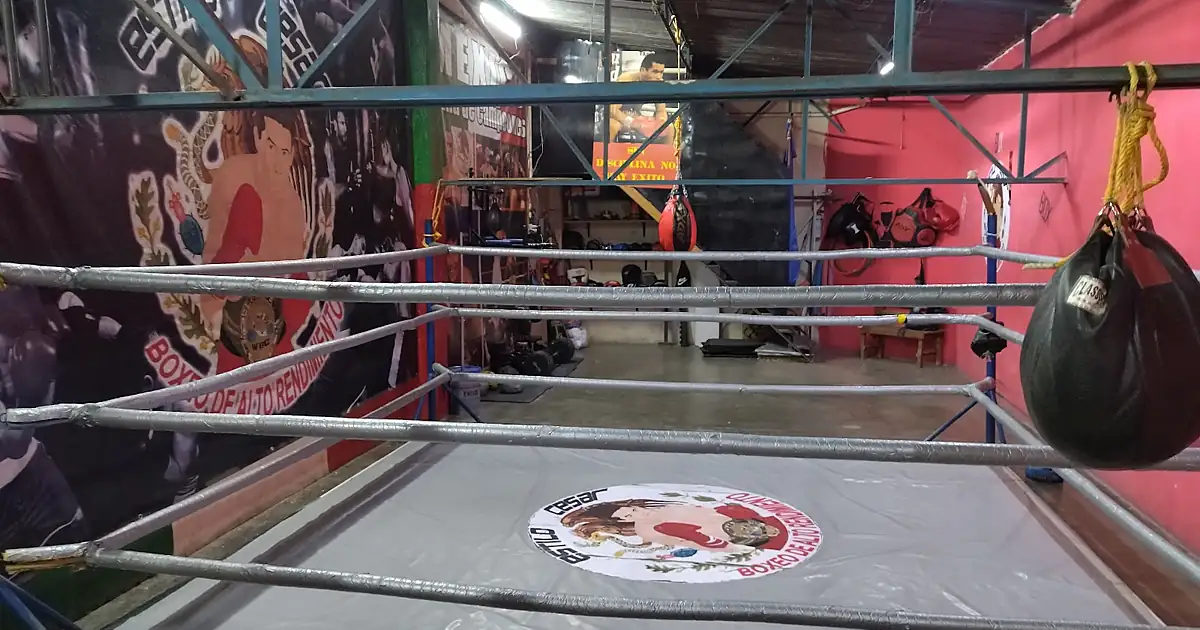 Gym boxeo de alto rendimiento estilo cesar