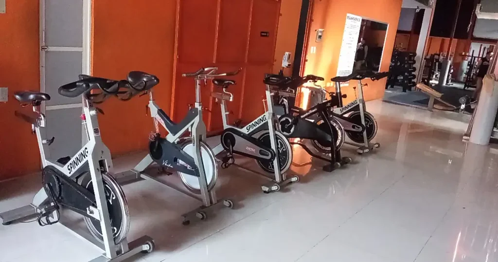 Master Gym