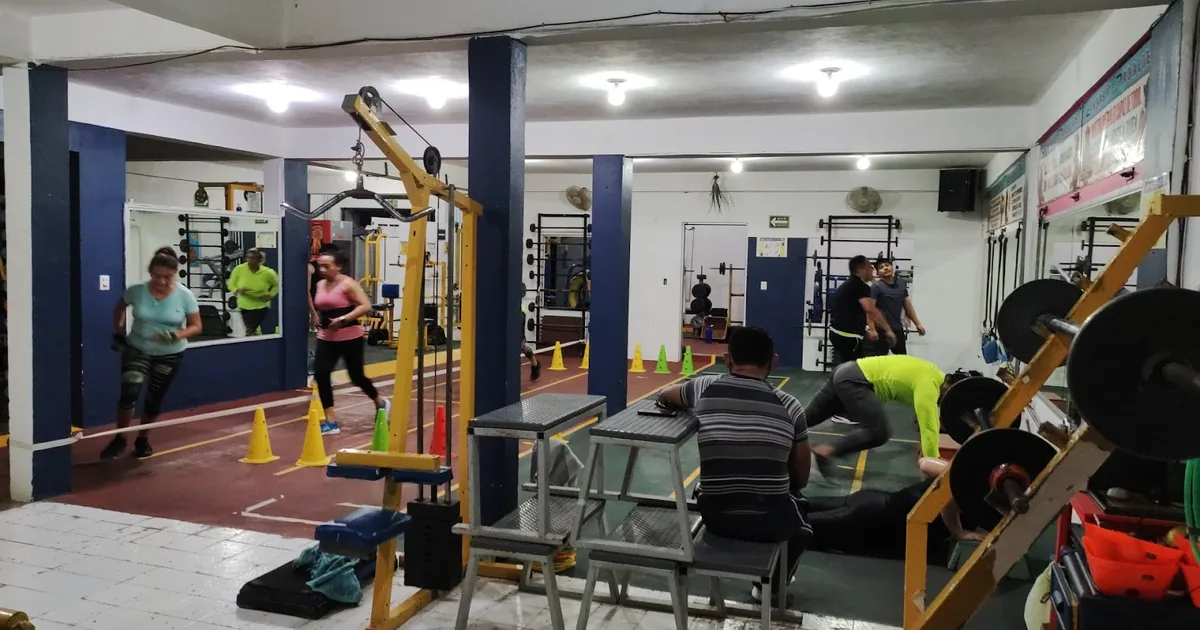 Gimnasio New Body