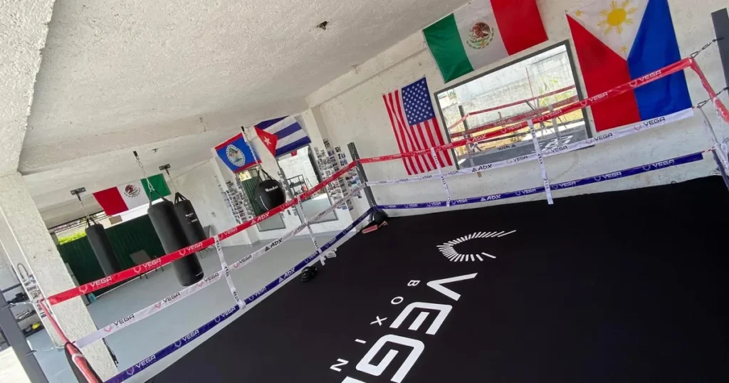 Gimnasio de boxeo Vega Boxing