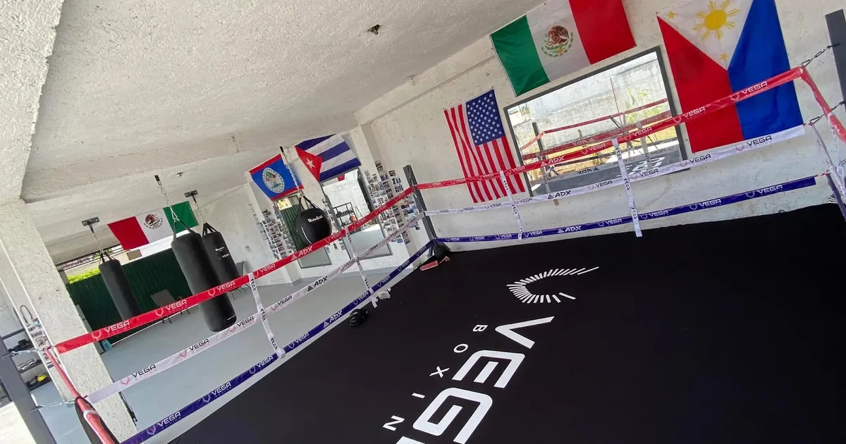Gimnasio de boxeo Vega Boxing