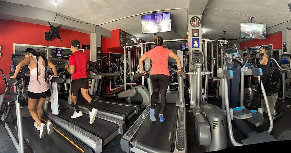 Ripped Centaurus Gym Isla Mujeres