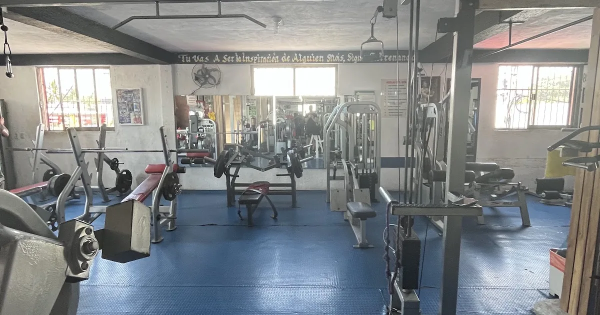 GIMNASIO MR. COLOSO