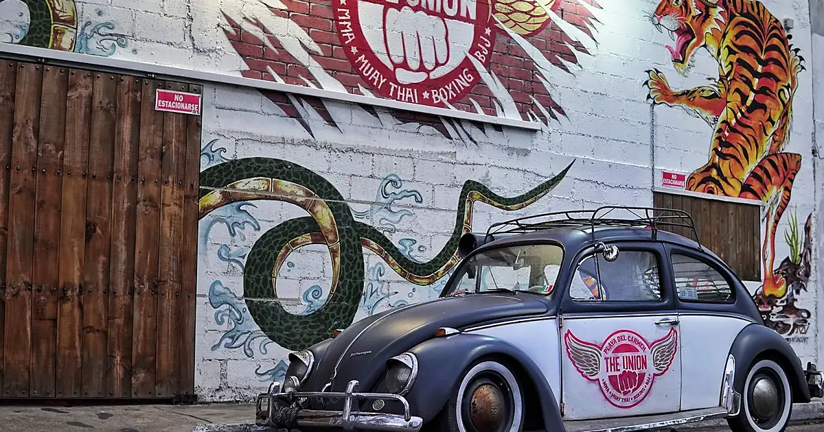 The Union Muay Thai & Boxing Gym