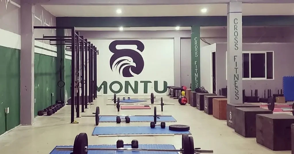 Montu Cross Fitness