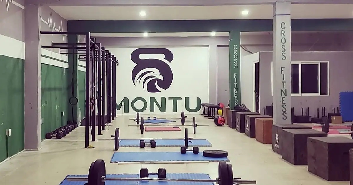 Montu Cross Fitness