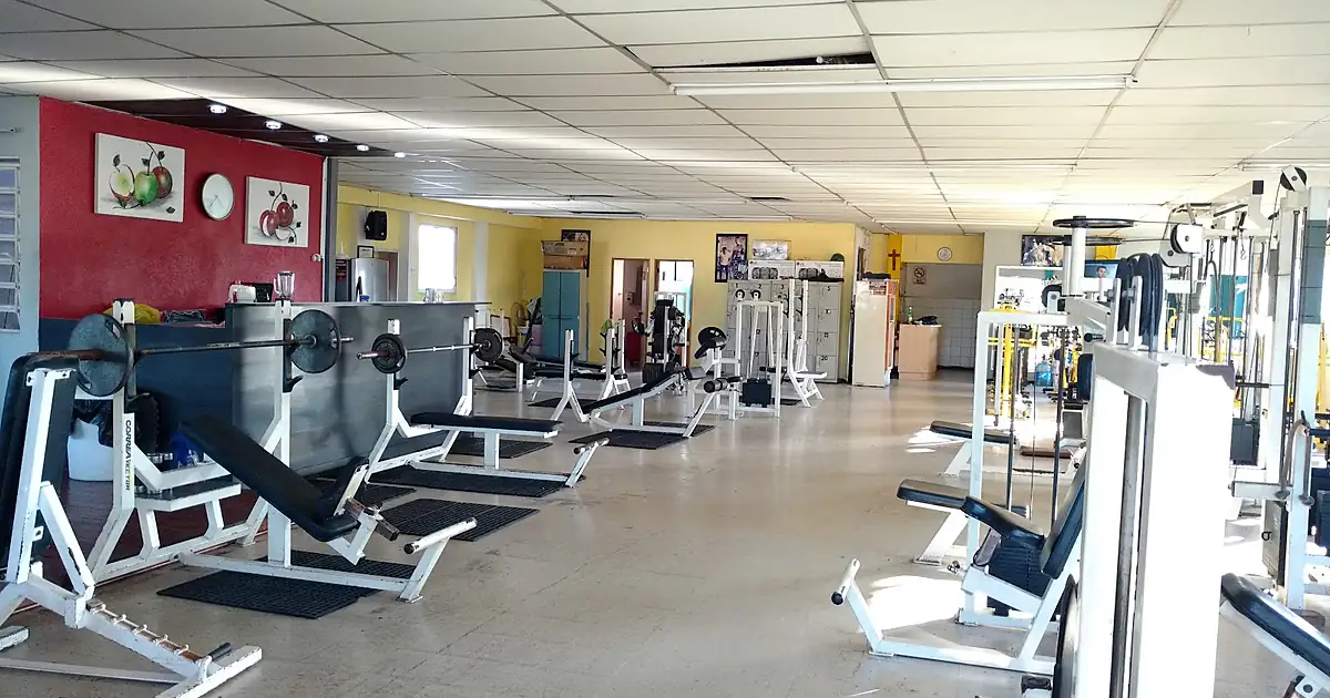 Fit Gym