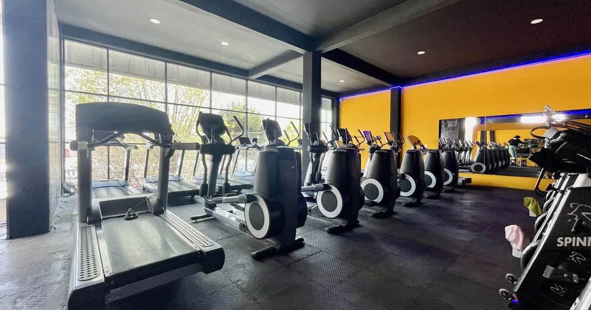 Arnold Fitness Apizaco