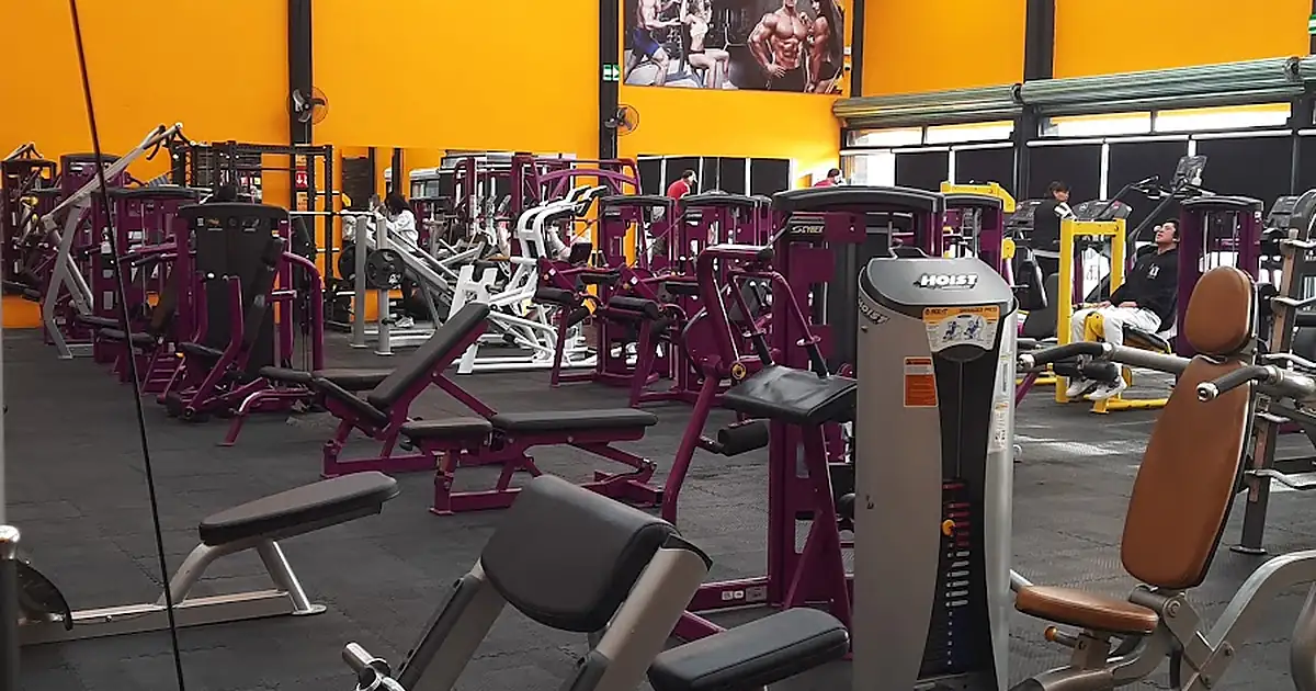 Arnold fitness