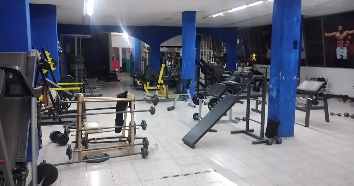 STEEL TRAINING GYM