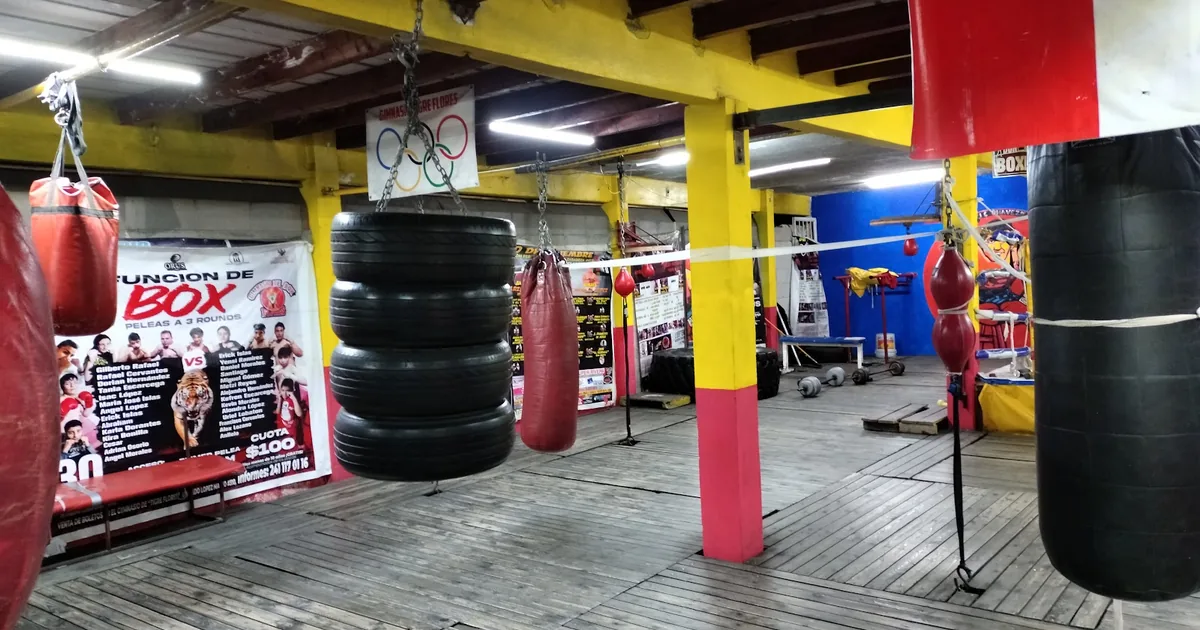 Gimnasio de box tigre flores