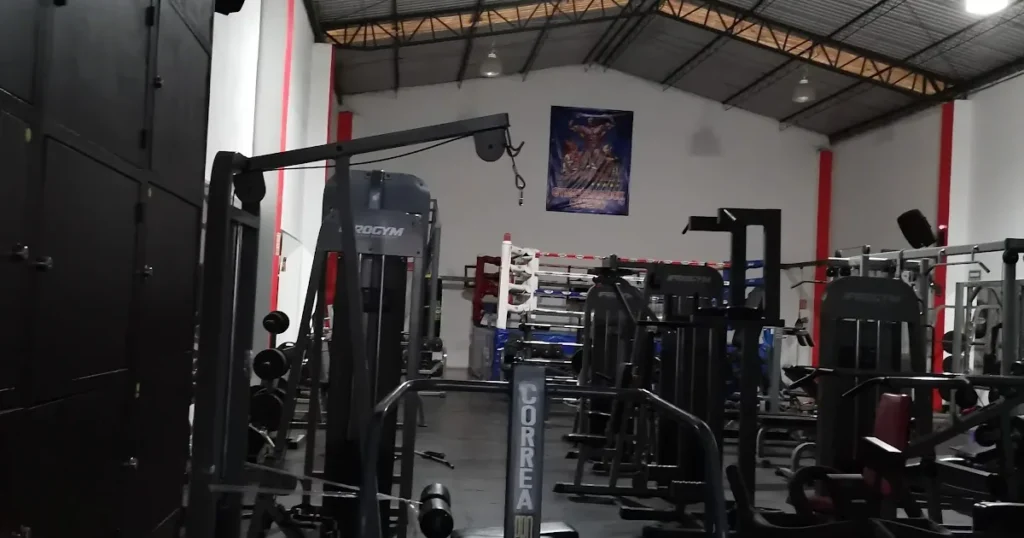 Iron Body