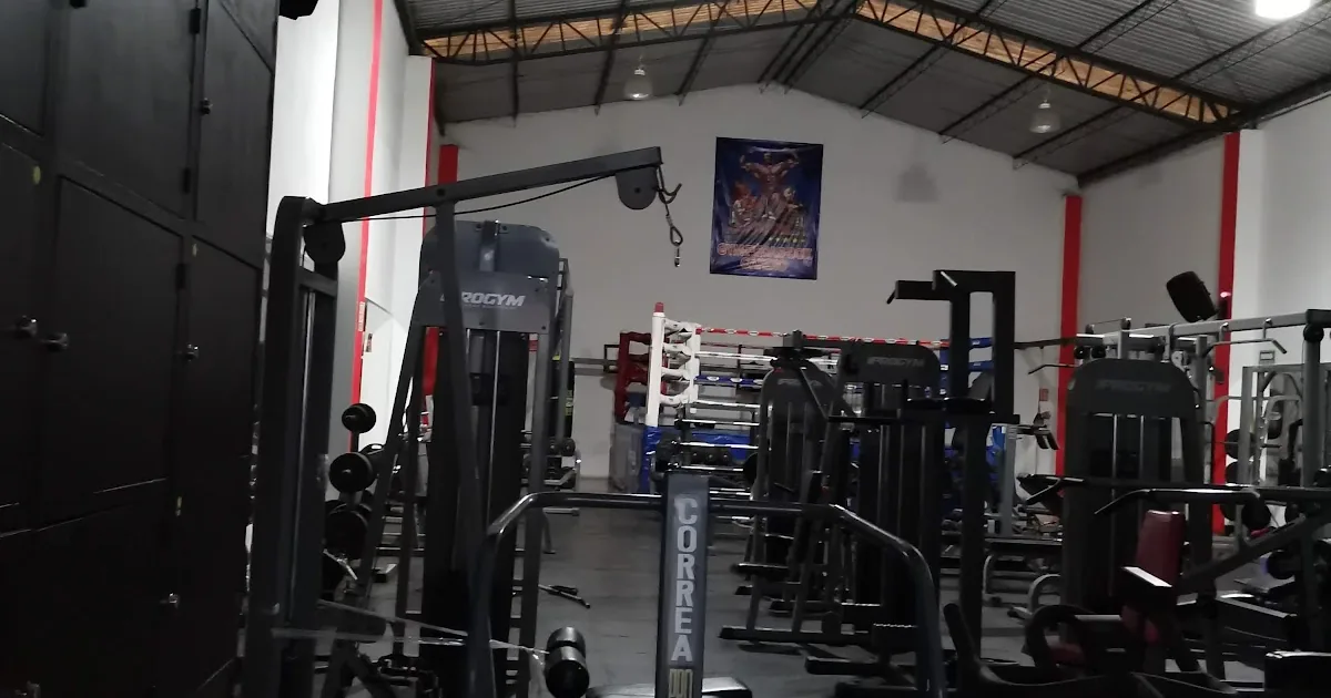 Iron Body