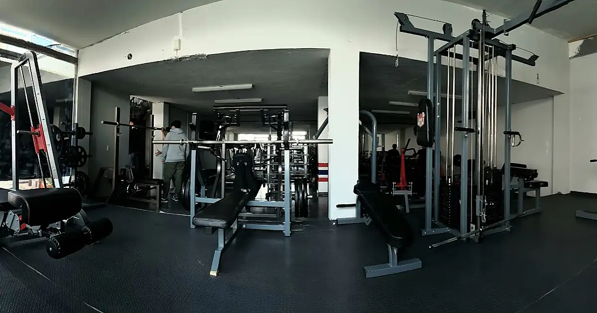 HR Gym TLX.