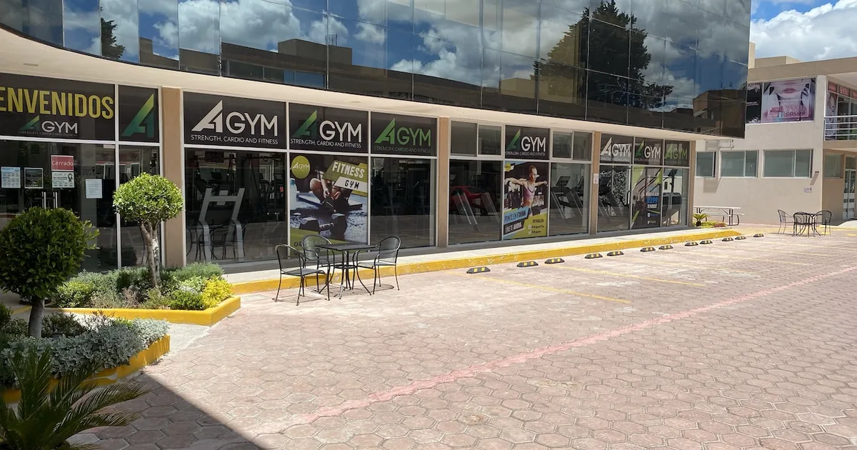 A1 Gym
