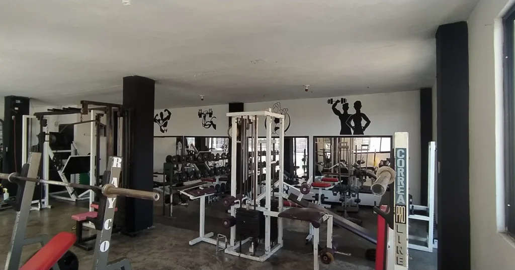 MT Fitness