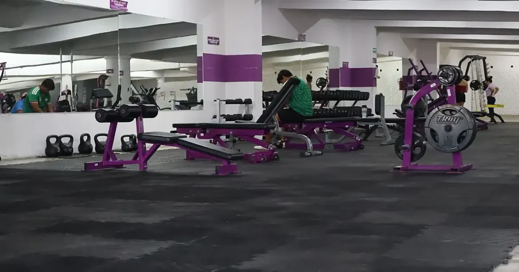 Maximus Fitness Club