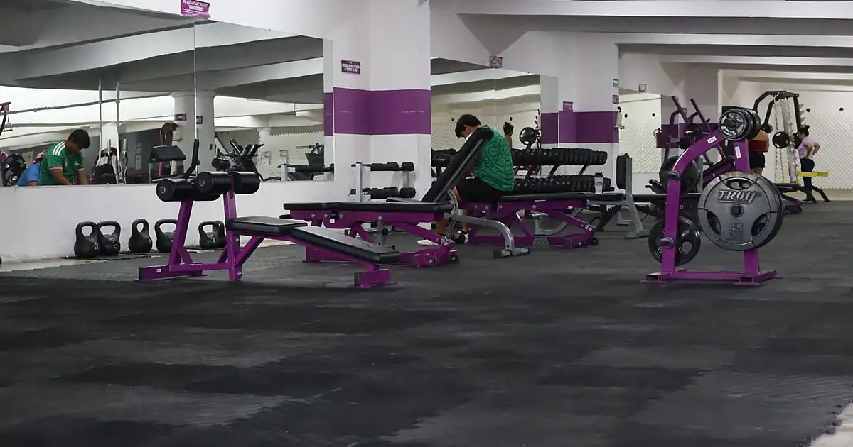 Maximus Fitness Club
