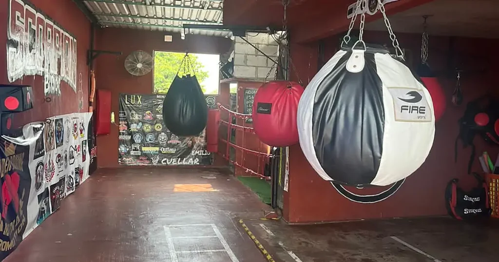 ScorpionBox