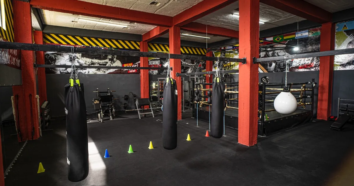 Boxing Beast Factory