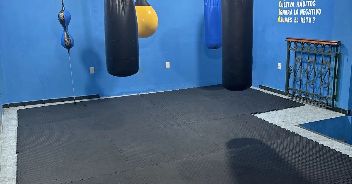 Gimnasio Legado Mexica (honor al boxeo mexicanos)