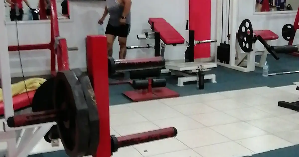 Gym Bulldog