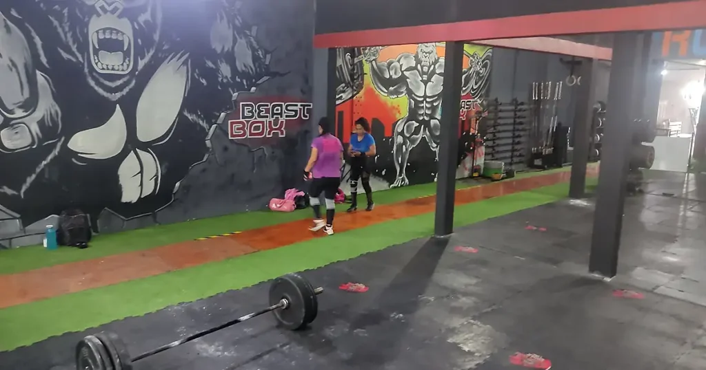 Beast Box Cross Fit