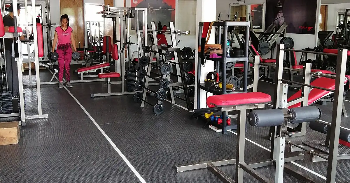 Forza Gym