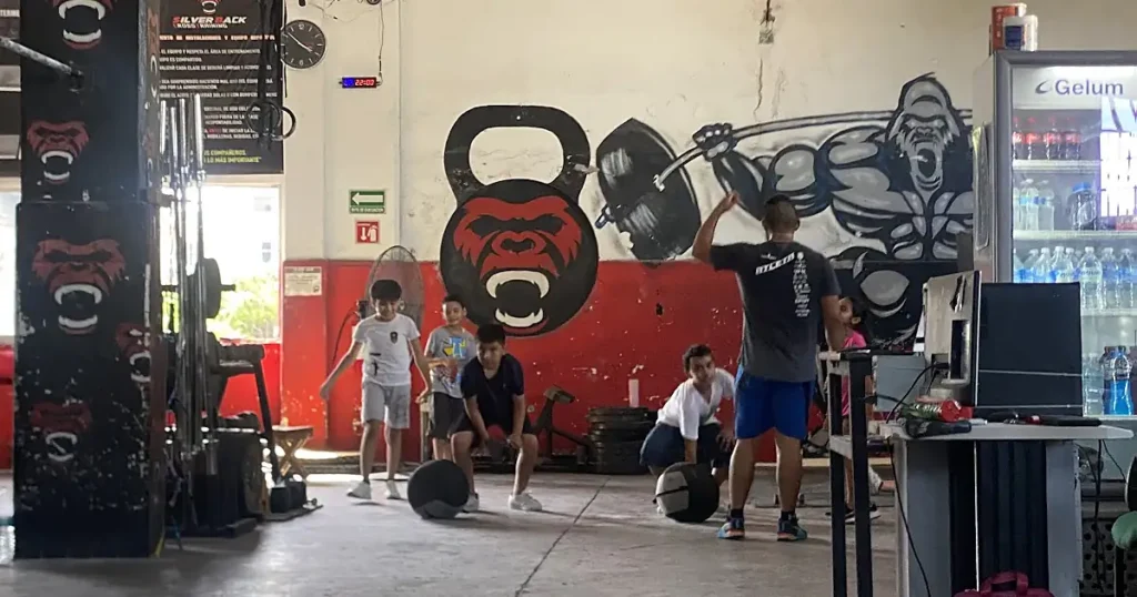 Silverback TC Gym