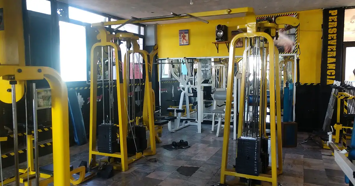 Gym Master Rangel