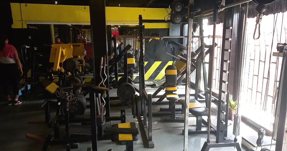 Gym Bulldogs XT
