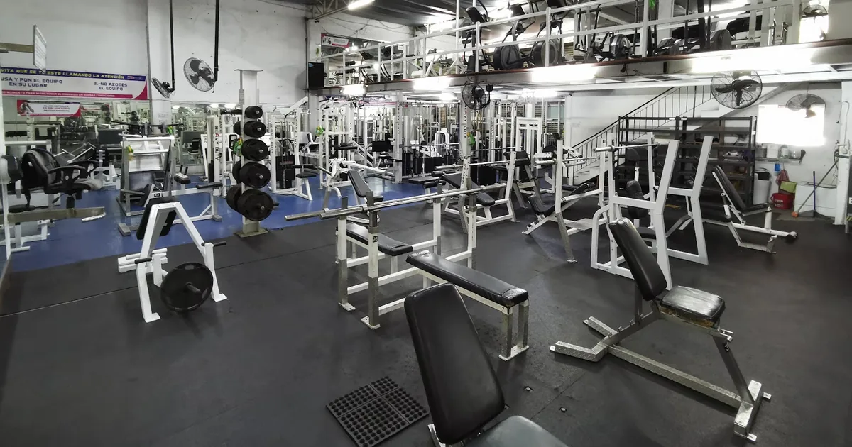 Sport Master GYM