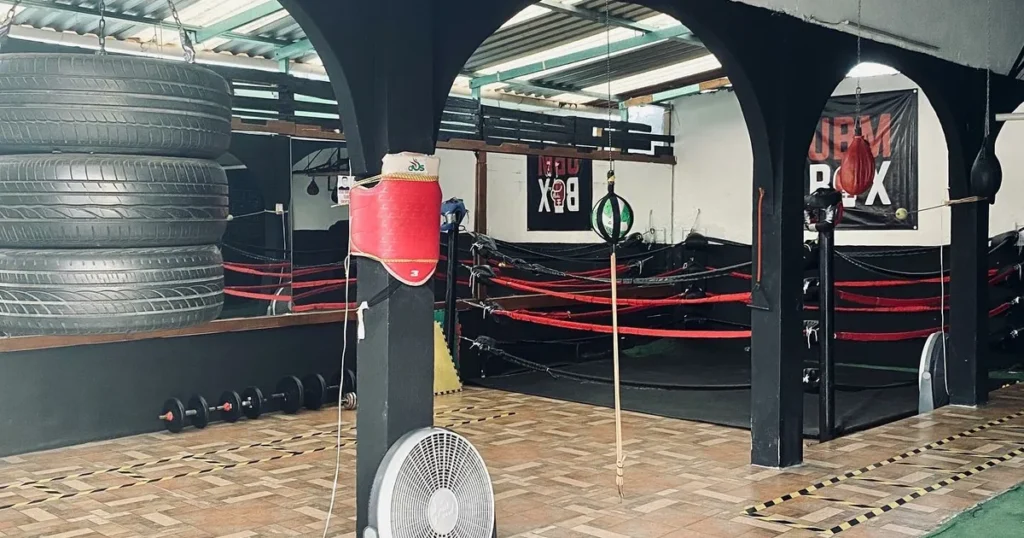 Unidad De Boxeo Mexicano