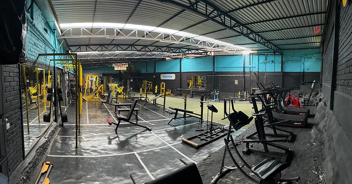 PROTEIN Gym