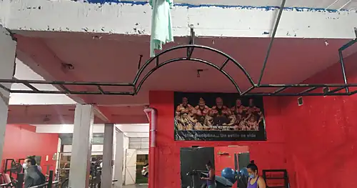 gym vikingos, gimnasio en Xalapa, Veracruz