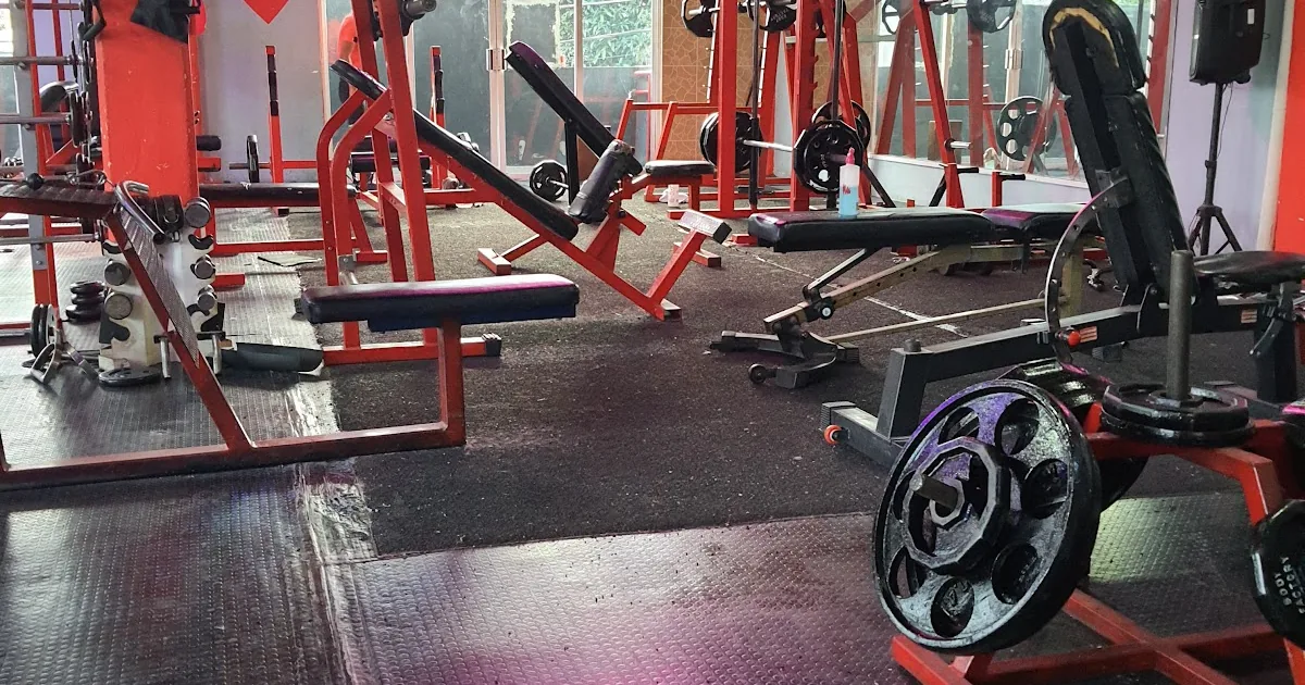 Gym Body Factory