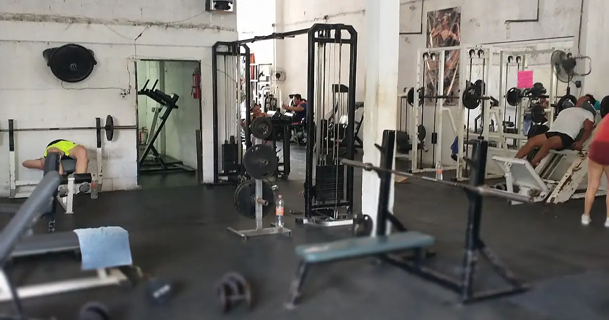 Panther gym