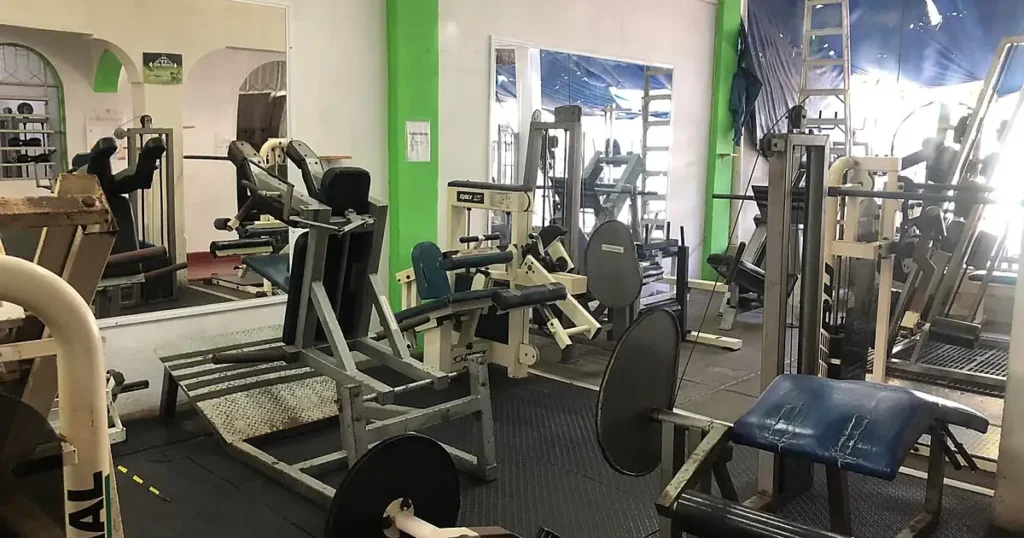 master mike gym