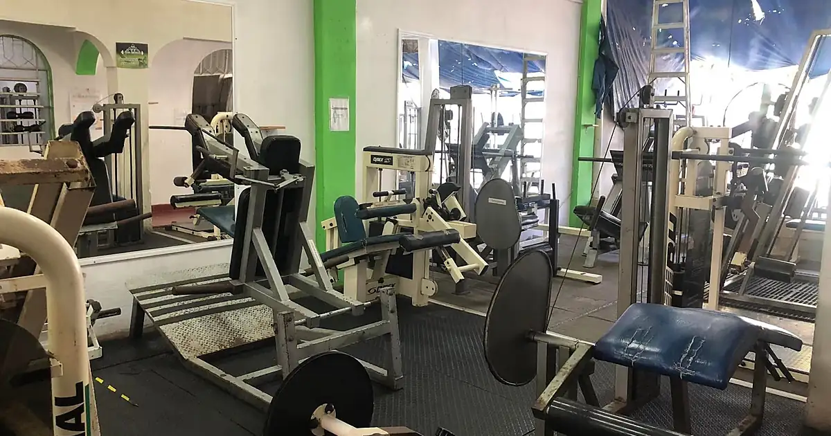 master mike gym