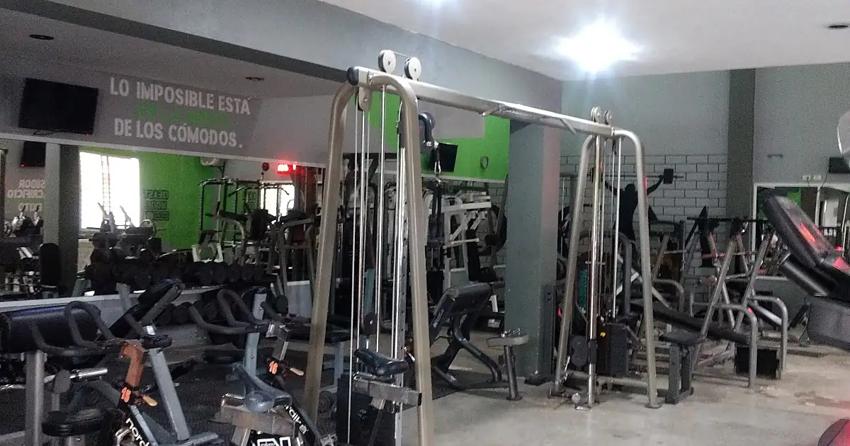 S.P.Q.R. Gym