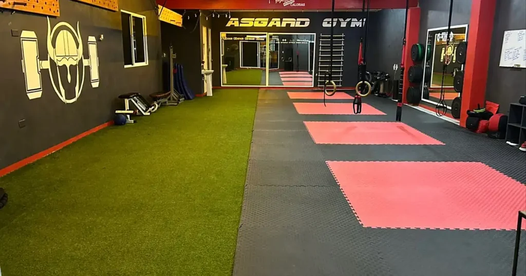 Asgard Gym