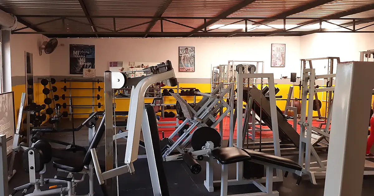 Gorilla Gym