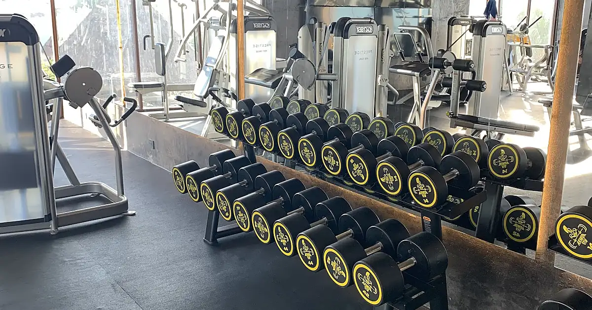 Armor Gym Ascenso